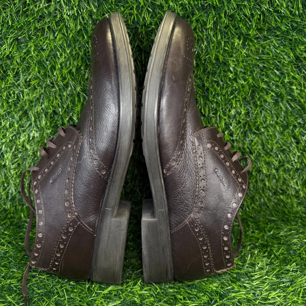 Geox respira wingtip